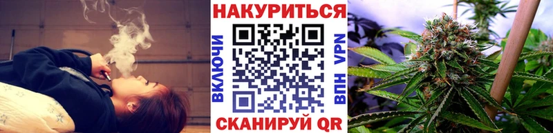Каннабис сатива  Пучеж 